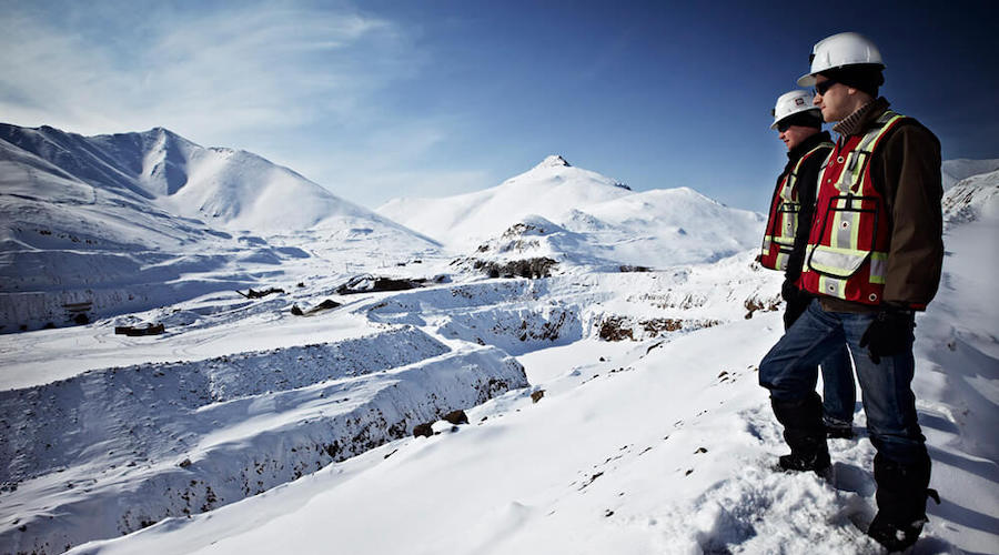 Mining companies operating in Russia improve in environmental transparency rating - WWF